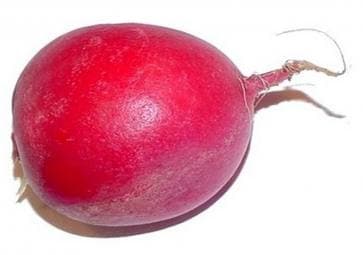 Turp