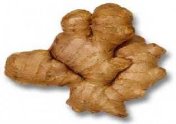 Zencefil