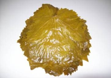 Üzüm Yaprağı