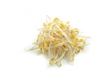 Soya Filizi
