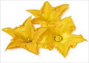 Kabak Çiçeği