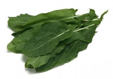 Kuzu Kulağı
