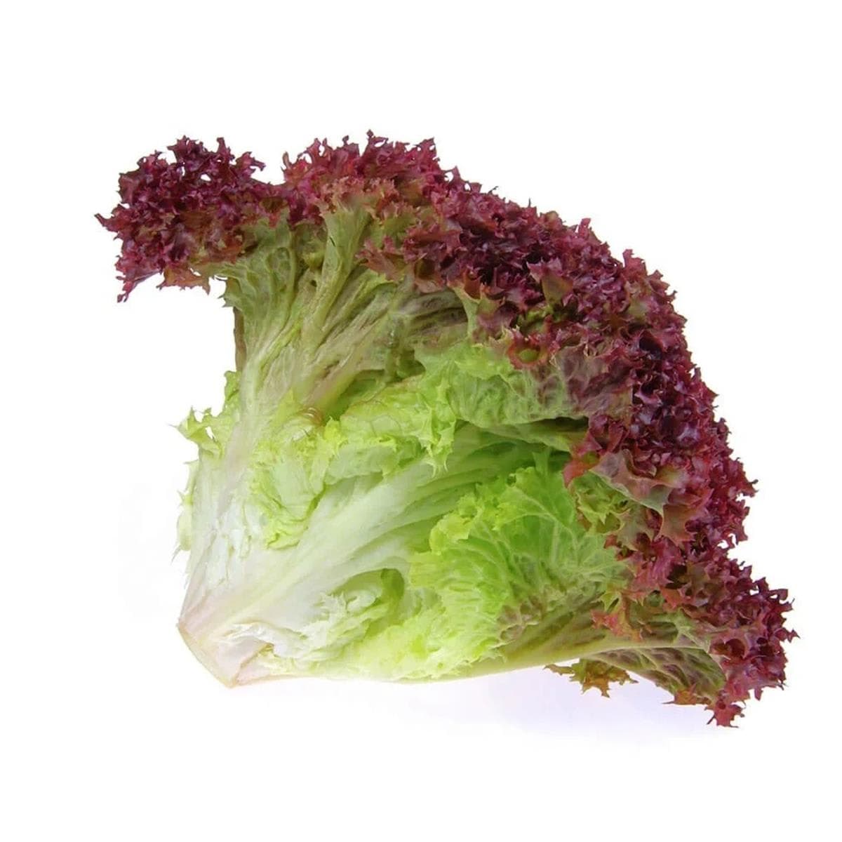 Lolorosso